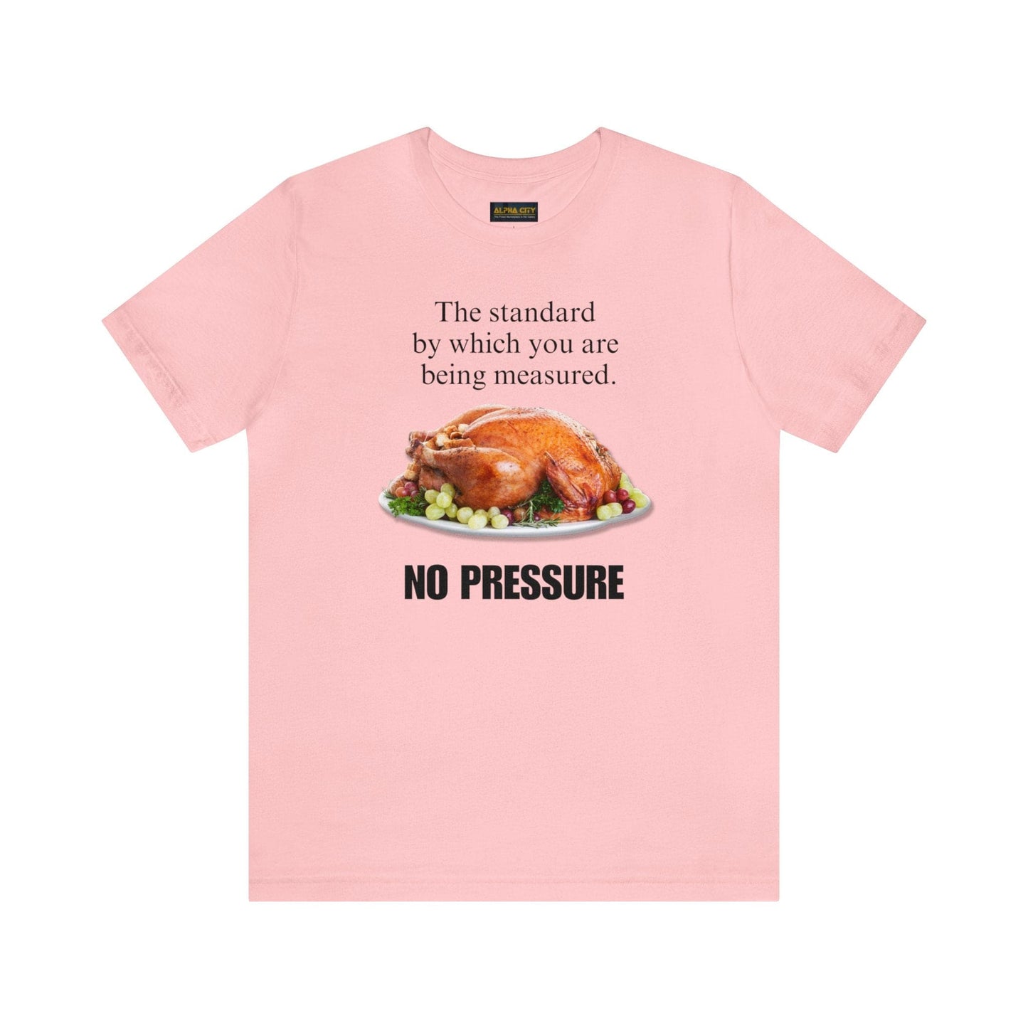 Snarky Thanksgiving: "The standard by which you are being measured. No Pressure" T-Shirt